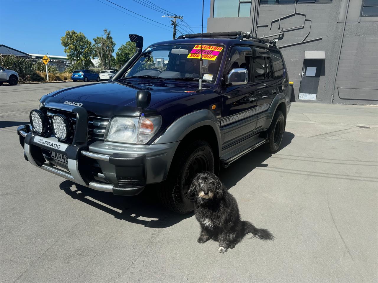 1996 Toyota Landcruiser Prado